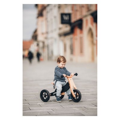 FREEON Free2Move Rider Plus Odrážedlo/tříkolka 2v1 Black - 69516bl_002