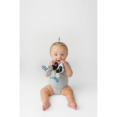 MOMS CARE Šustící muchláček Mýval Pedro - 75253_003