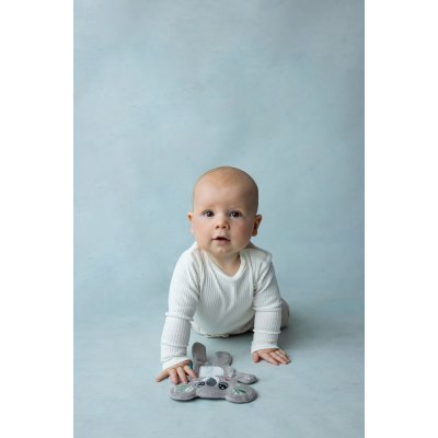 MOMS CARE Šustící muchláček Koala - 75258_003