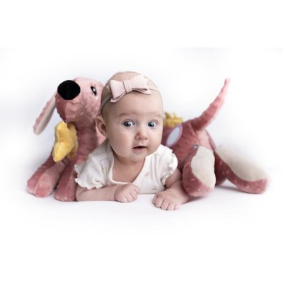 MOMS CARE Senzorická hračka Jezevčík růžový - 75260_001