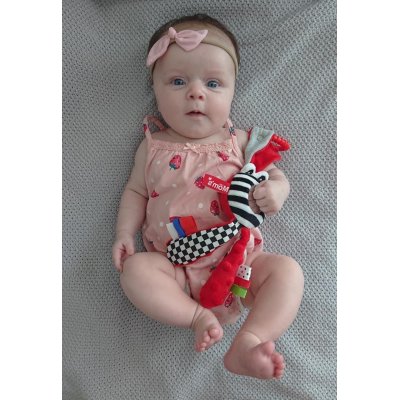 MOMS CARE Muchláček se zrcátkem červený - 75278_001