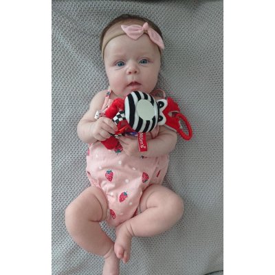 MOMS CARE Muchláček se zrcátkem červený - 75278_002