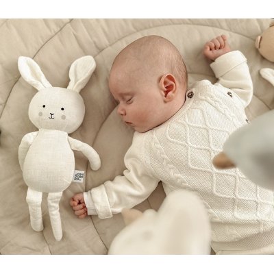 JABADABADO Zajíček v dárkovém balení - 50646za_004