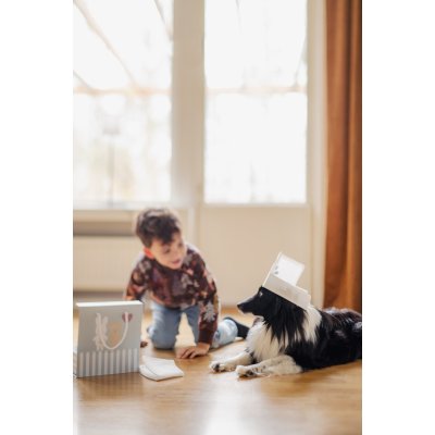 JABADABADO Set pro Veterináře - 85075_012